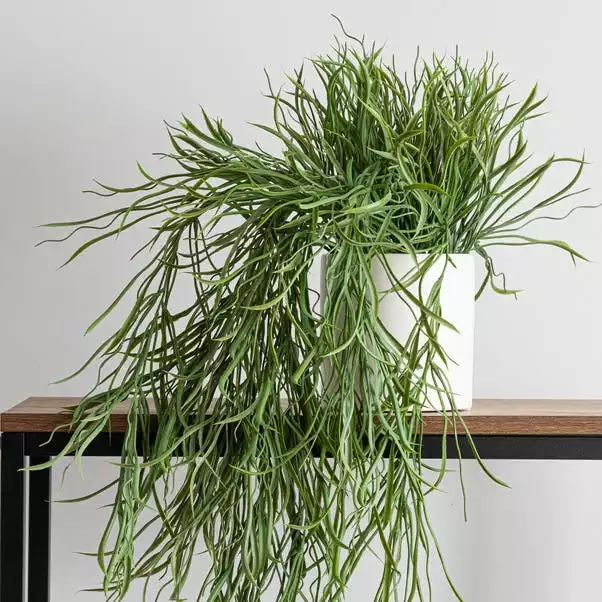 Dunelm Coastal Artificial Trailing Grass In White Ceramic Pot 2 Dunelm Coastal Artificial Trailing Grass In White Ceramic Pot - Image 2