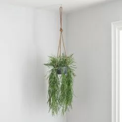Dunelm Artificial Trailing Grass In Hanging Grey Pot -clocks Sales Store 30730206 alt03