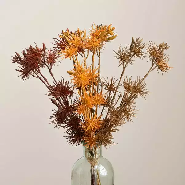 Dunelm Witch Hazel Bundle 1 Dunelm Witch Hazel Bundle