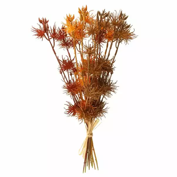 Dunelm Witch Hazel Bundle 4 Dunelm Witch Hazel Bundle - Image 4