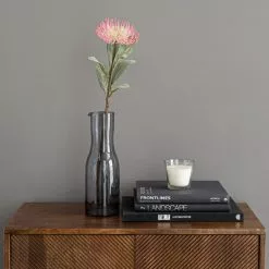 Dunelm Banksia Pink Stem