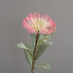 Dunelm Banksia Pink Stem -clocks Sales Store 30730222 alt02