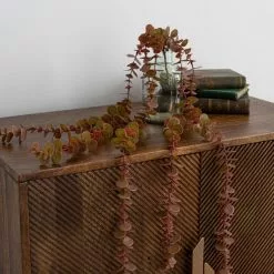 Dunelm Artificial Trailing Eucalyptus Vine 6 Dunelm Artificial Trailing Eucalyptus Vine -clocks Sales Store 30730229 alt02