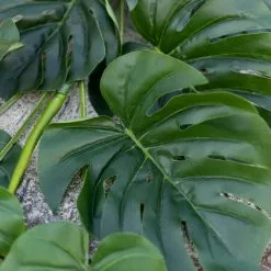 Dunelm Monstera Green Garland 6 Dunelm Monstera Green Garland -clocks Sales Store 30730233 alt02