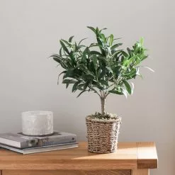 Dunelm Churchgate Artificial Olive Tree In Basket
