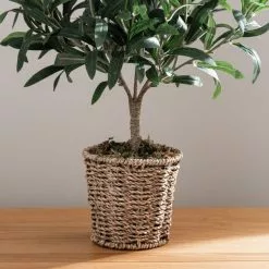 Dunelm Churchgate Artificial Olive Tree In Basket 9 Dunelm Churchgate Artificial Olive Tree In Basket -clocks Sales Store 30730245 alt03