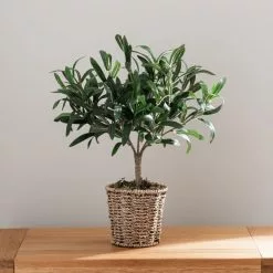 Dunelm Churchgate Artificial Olive Tree In Basket 10 Dunelm Churchgate Artificial Olive Tree In Basket -clocks Sales Store 30730245 alt04