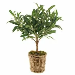 Dunelm Churchgate Artificial Olive Tree In Basket 11 Dunelm Churchgate Artificial Olive Tree In Basket -clocks Sales Store 30730245 alt05