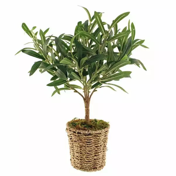 Dunelm Churchgate Artificial Olive Tree In Basket 6 Dunelm Churchgate Artificial Olive Tree In Basket - Image 6