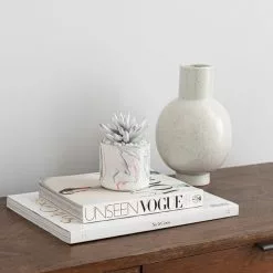 Dunelm Artificial Succulent In Pink/Grey Marble Effect Pot