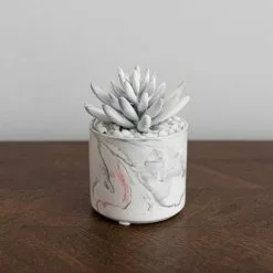 Dunelm Artificial Succulent In Pink/Grey Marble Effect Pot -clocks Sales Store 30730247 alt02