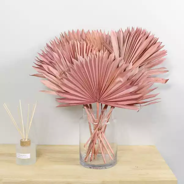Dunelm Dried Pink Sun Spear Bundle 1 Dunelm Dried Pink Sun Spear Bundle