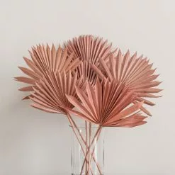 Dunelm Dried Pink Sun Spear Bundle 8 Dunelm Dried Pink Sun Spear Bundle -clocks Sales Store 30730254 alt03