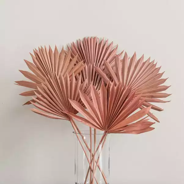 Dunelm Dried Pink Sun Spear Bundle 4 Dunelm Dried Pink Sun Spear Bundle - Image 4