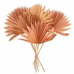 Dunelm Dried Pink Sun Spear Bundle 9 Dunelm Dried Pink Sun Spear Bundle -clocks Sales Store 30730254 alt04