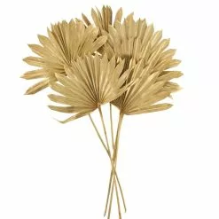 Dunelm Dried Gold Sun Spear Bundle -clocks Sales Store 30730255 alt04