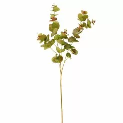 Dunelm Premium Green And Pink Eucalyptus -clocks Sales Store 30730258 alt04