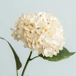 Dunelm Hydrangea Cream Stem -clocks Sales Store 30730259 alt03