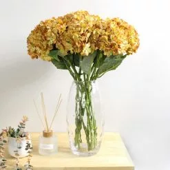 Dunelm Brown Hydrangea