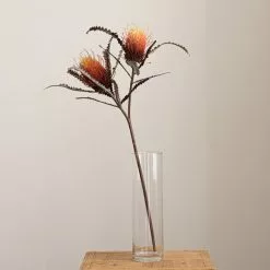 Dunelm Banksia Orange Spray 8 Dunelm Banksia Orange Spray -clocks Sales Store 30730262 alt03