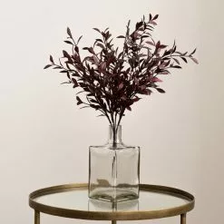 Dunelm Burgundy Huckleberry Plant 8 Dunelm Burgundy Huckleberry Plant -clocks Sales Store 30730264 alt03