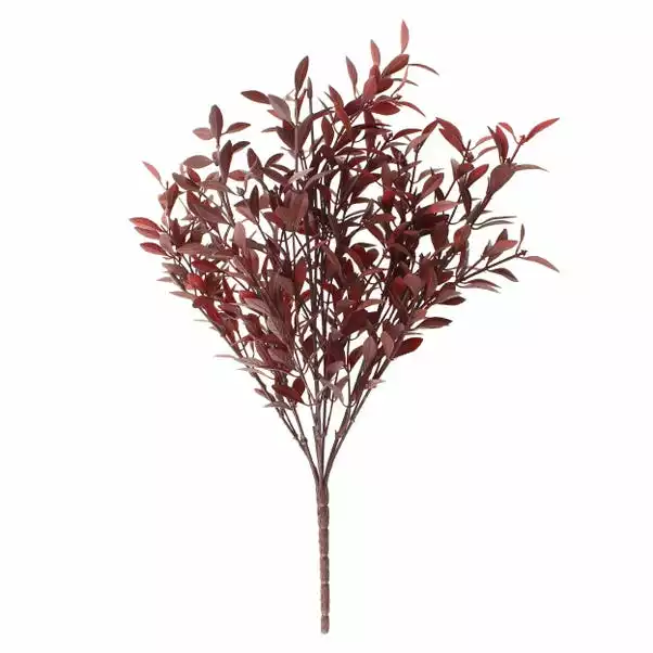 Dunelm Burgundy Huckleberry Plant 5 Dunelm Burgundy Huckleberry Plant - Image 5