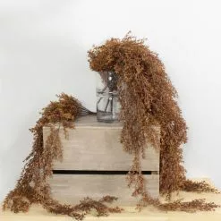 Dunelm Brown Vine Bush