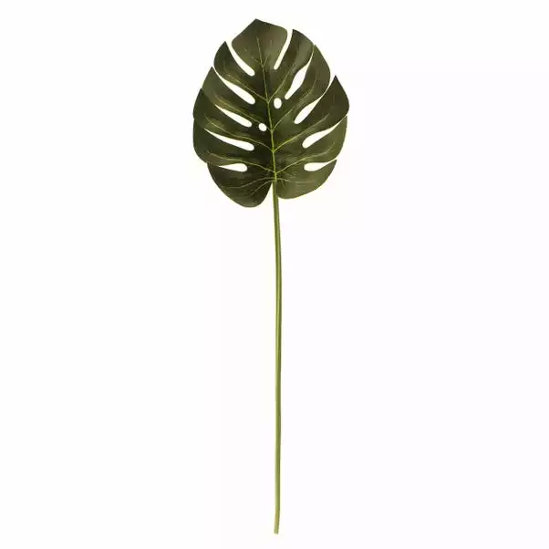 Dunelm Monstera Green Leaf Stem 3 Dunelm Monstera Green Leaf Stem - Image 3