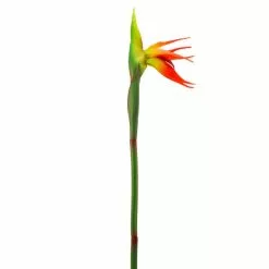 Dunelm Green Bird Of Paradise Stem -clocks Sales Store 30730279 alt02