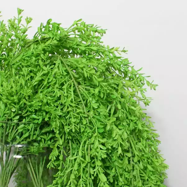 Dunelm Trailing Vine Bush 2 Dunelm Trailing Vine Bush - Image 2