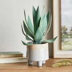 Dunelm Coastal Aloe Vera In Ceramic Pot