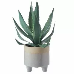 Dunelm Coastal Aloe Vera In Ceramic Pot 5 Dunelm Coastal Aloe Vera In Ceramic Pot -clocks Sales Store 30732424 alt02