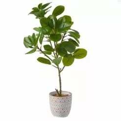 Dunelm Ficus Deltoidea In Terracotta Pot 50cm 7 Dunelm Ficus Deltoidea In Terracotta Pot 50cm -clocks Sales Store 30732425 alt03