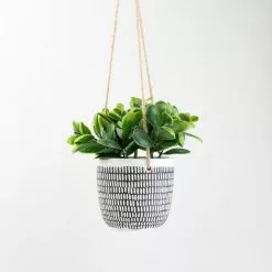 Dunelm Hanging Plant In Cement Pot
