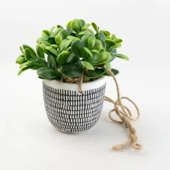 Dunelm Hanging Plant In Cement Pot -clocks Sales Store 30732439 alt02