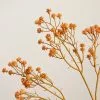 Dunelm Gypsophila Orange Spray