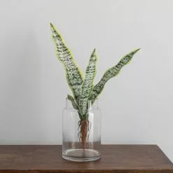 Dunelm Artificial Sansevieria Green Single Stem -clocks Sales Store 30734540 alt02