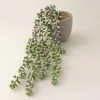 Dunelm Green Artificial String Of Pearls In Cement Pot