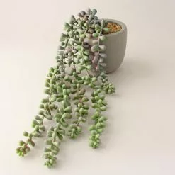 Dunelm Green Artificial String Of Pearls In Cement Pot