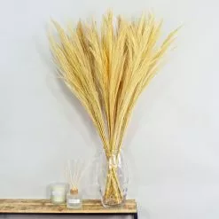 Dunelm Dried Broom Grass Bleached 100cm