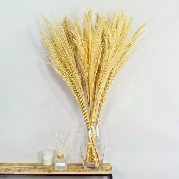 Dunelm Dried Broom Grass Bleached 100cm 1 Dunelm Dried Broom Grass Bleached 100cm