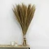 Dunelm Dried Broom Grass Natural 100cm