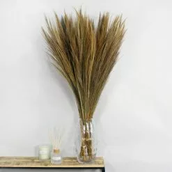 Dunelm Dried Broom Grass Natural 100cm