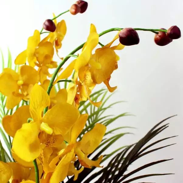 Dunelm Florals Forever Annie Phalaenopsis Bouquet 3 Dunelm Florals Forever Annie Phalaenopsis Bouquet - Image 3