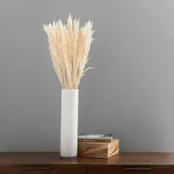 Dunelm Pack Of 12 Dried Bleached Nanal Bundle