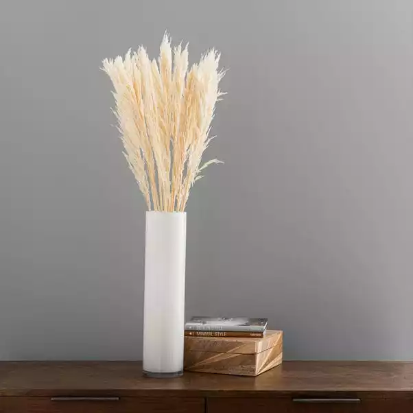 Dunelm Pack Of 12 Dried Bleached Nanal Bundle 1 Dunelm Pack Of 12 Dried Bleached Nanal Bundle