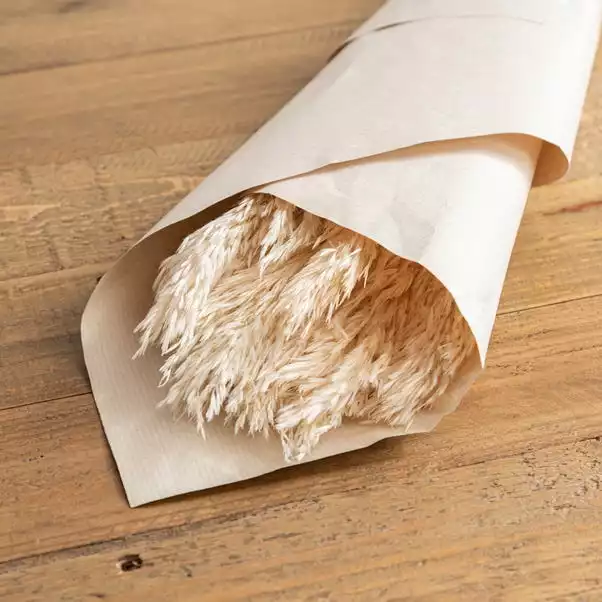 Dunelm Pack Of 12 Dried Bleached Nanal Bundle 2 Dunelm Pack Of 12 Dried Bleached Nanal Bundle - Image 2