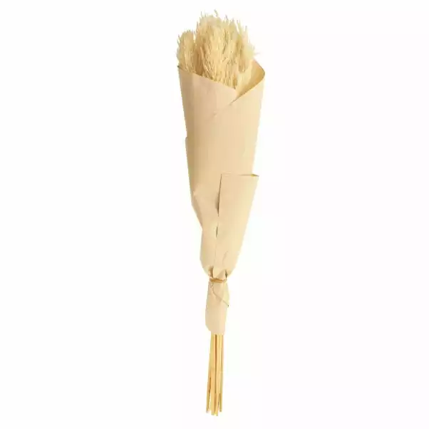 Dunelm Pack Of 12 Dried Bleached Nanal Bundle 5 Dunelm Pack Of 12 Dried Bleached Nanal Bundle - Image 5
