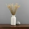 Dunelm Natural Dried Phalaris Bundle