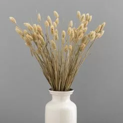 Dunelm Natural Dried Phalaris Bundle 8 Dunelm Natural Dried Phalaris Bundle -clocks Sales Store 30747114 alt03